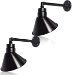 Angled 10" Shade with 13" Gooseneck Arm