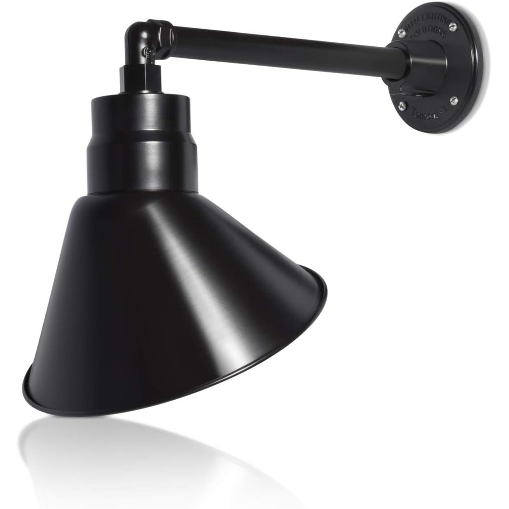 Angled 10" Shade with 13" Gooseneck Arm
