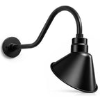 Angled 10" Shade with 22" Gooseneck Arm