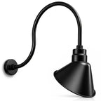 Angled 10" Shade with 24" Gooseneck Arm