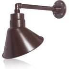 Angled 10" Shade with 13" Gooseneck Arm
