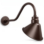 Angled 10" Shade with 22" Gooseneck Arm
