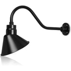 Angled 10" Shade with 22" Gooseneck Arm