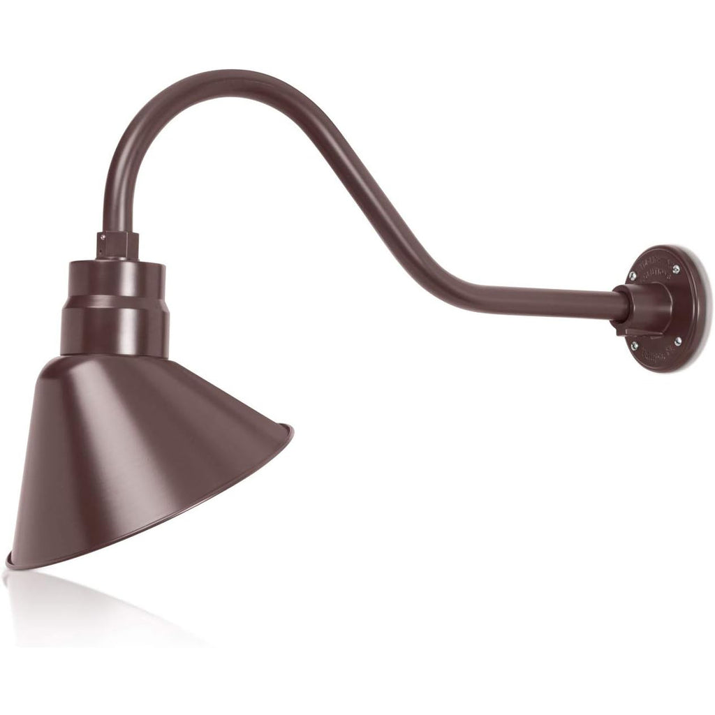 Angled 10" Shade with 22" Gooseneck Arm