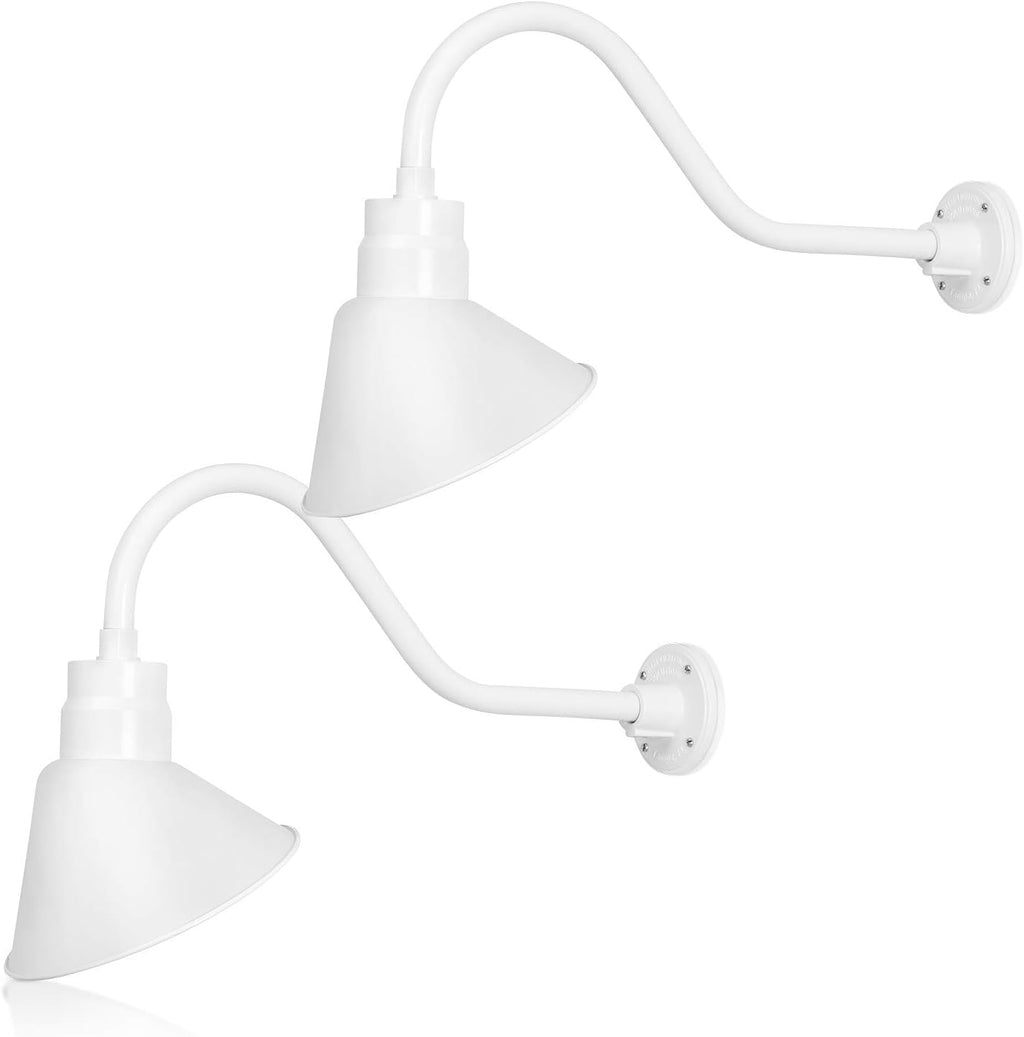 Angled 10" Shade with 22" Gooseneck Arm
