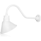 Angled 10" Shade with 22" Gooseneck Arm