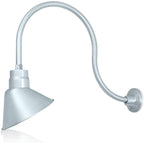 Angled 10" Shade with 24" Gooseneck Arm