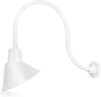 Angled 10" Shade with 24" Gooseneck Arm