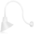 Angled 10" Shade with 24" Gooseneck Arm