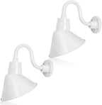Angled 10" Shade with 10" Gooseneck Arm