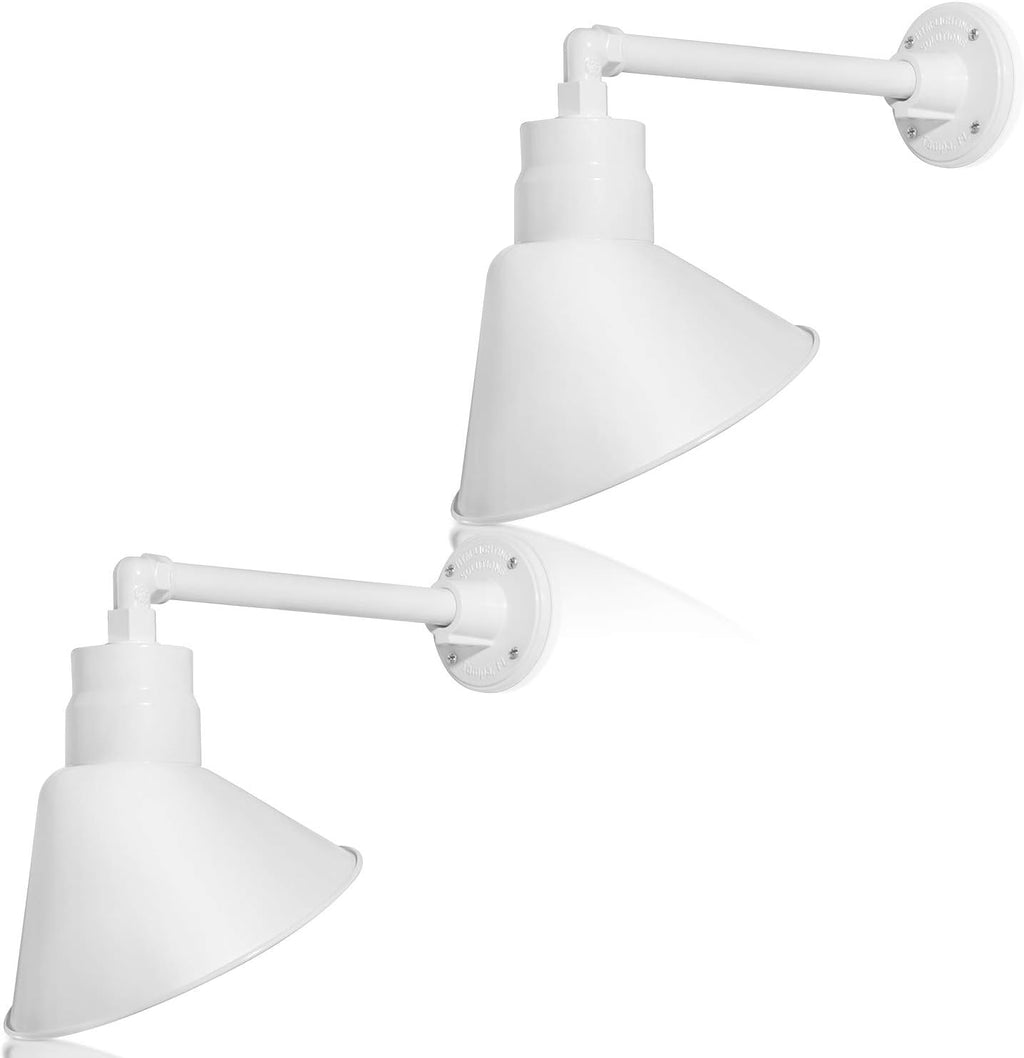 Angled 10" Shade with 13" Gooseneck Arm