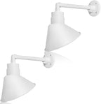 Angled 10" Shade with 13" Gooseneck Arm