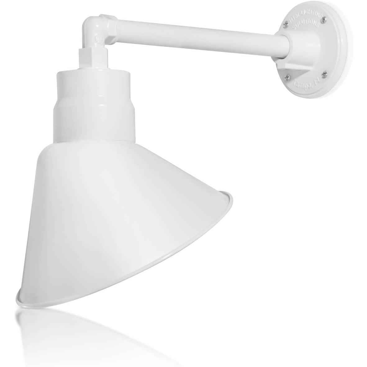 Angled 10" Shade with 13" Gooseneck Arm