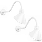 Angled 10" Shade with 22" Gooseneck Arm