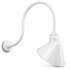 Angled 10" Shade with 24" Gooseneck Arm