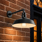 Barn Light 14" Shade with 13" Gooseneck Arm