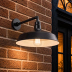 Barn Light 17" Shade with 13" Gooseneck Arm