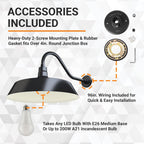 Barn Light 21" Shade with 22" Gooseneck Arm